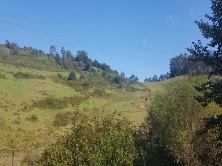 Suelo rústico en Paraje la Moñeca 12