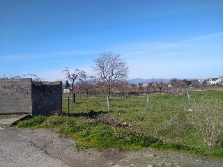 11455-0001 23