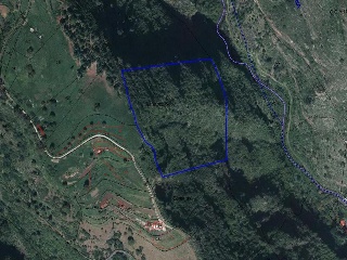 12117-0001 5
