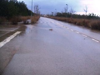 Solar en C/ Roquetes, El Vendrell (Tarragona) 15