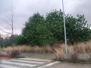 Solar en C/ Roquetes, El Vendrell (Tarragona) 21
