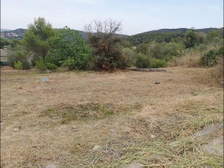 07177-0001 7