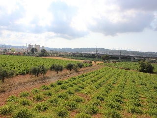 Viviendas unifamiliares en construcción en Santa Oliva, Tarragona 31
