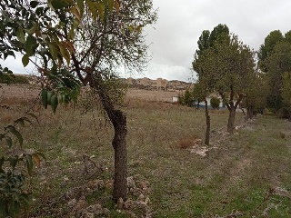 00156-0001 37