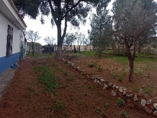 00156-0001 39