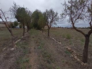 00156-0001 40