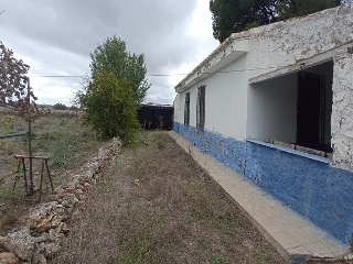 00156-0001 43