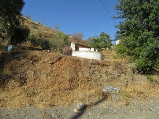 06567-0001 5