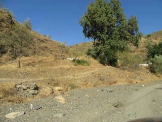 06567-0001 6