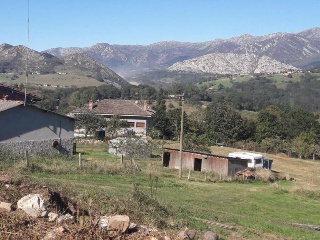 12974-0001 14