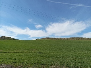 07892-0001 66
