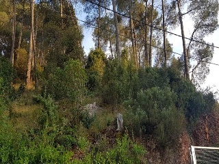 12673-0001 22