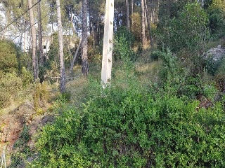 12673-0001 24