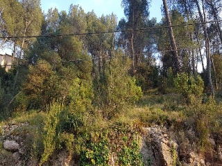 12673-0001 29