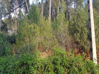 12673-0001 31