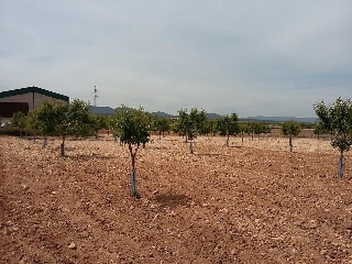 12686-0001 13