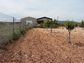 12686-0001 15