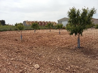 12686-0001 18