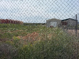12686-0001 19