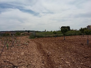 12686-0001 23