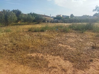 17003-0001 17