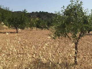 Suelo rústico en Pt Los Llanicos, Pol 17 - Mazarrón - Murcia 26