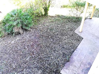Casa aislada en C/ dels lliris 89