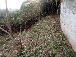 Casa aislada en C/ dels lliris 120