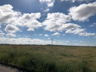 16809-0001 17