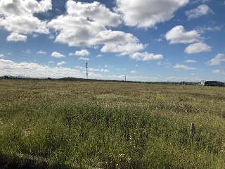 16809-0001 19