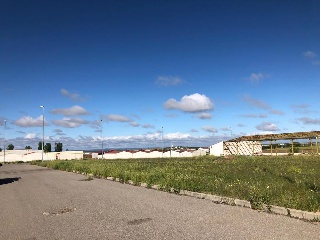 16809-0001 24