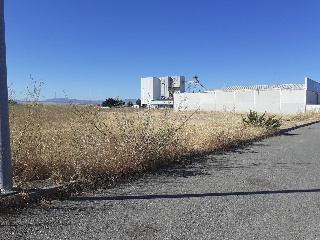 16809-0001 29