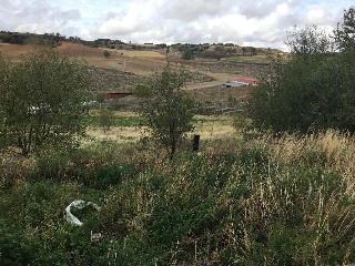 16574-0001 12