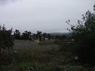 06699-0001 5