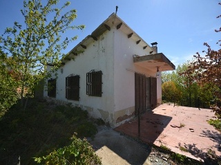 17317-0001 8