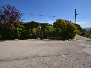 17317-0001 9