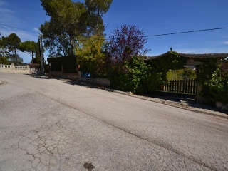 17317-0001 10