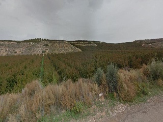 18785-0001 6