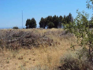 18803-0001 14