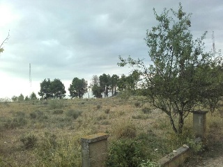 18803-0001 19