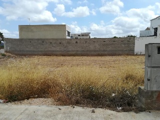 08586-0001 5