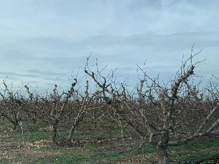 19852-0001 10