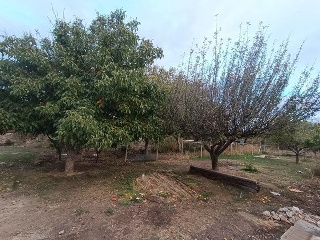 02186-0001 54