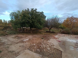 02186-0001 55