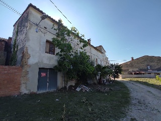 19589-0001 29
