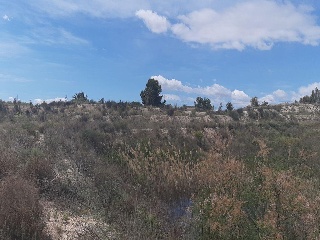 09282-0001 19
