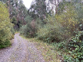 19520-0001 9