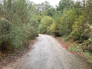19520-0001 10