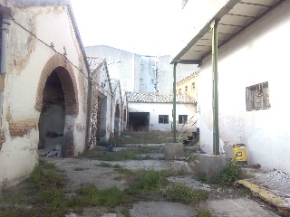 19528-0001 29