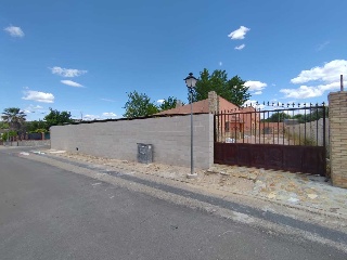 19529-0001 7